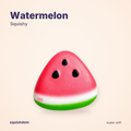 Watermelon Squishy by Squishdom